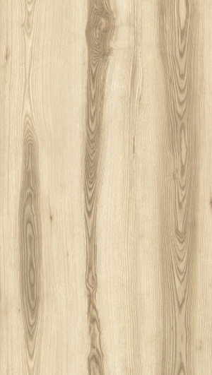 ModernWood Texture