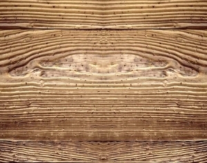 ModernWood Texture