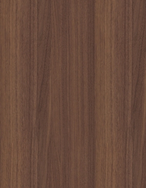 ModernWood Texture
