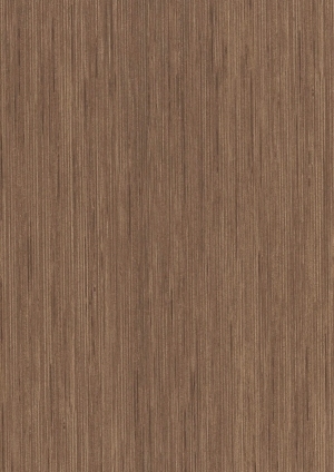 ModernWood Texture