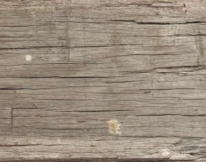 ModernWood Texture