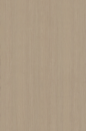 ModernWood Texture