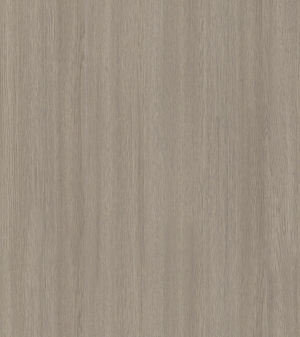 ModernWood Texture