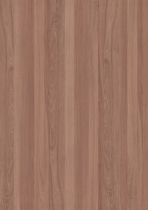 ModernWood Texture