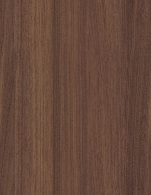 ModernWood Texture