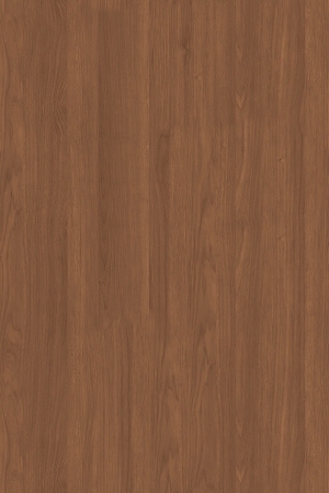 ModernWood Texture