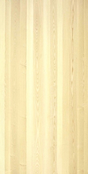 ModernWood Texture