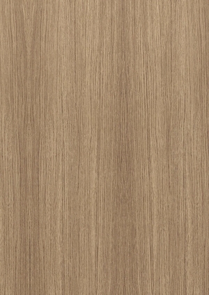 ModernWood Texture