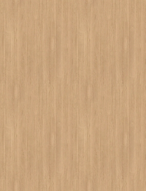 ModernWood Texture