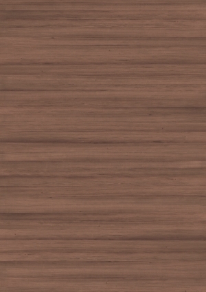 ModernWood Texture
