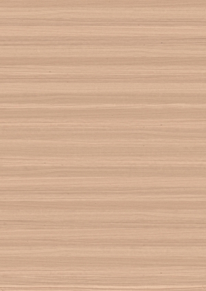 ModernWood Texture