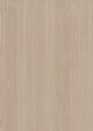 ModernWood Texture