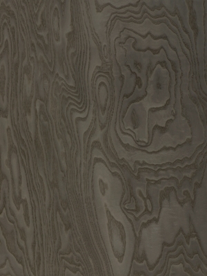ModernWood Texture