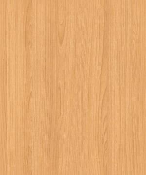 ModernWood Texture