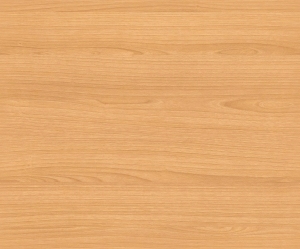 ModernWood Texture