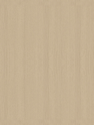 ModernWood Texture