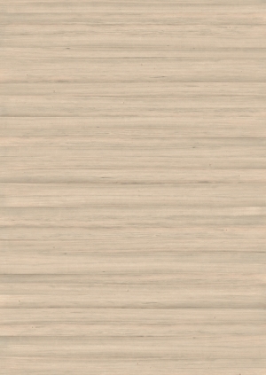 ModernWood Texture