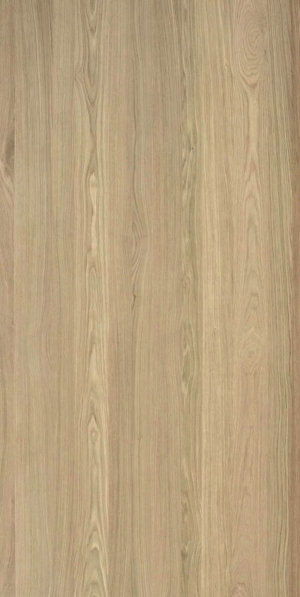 ModernWood Texture