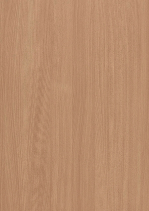ModernWood Texture