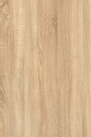 ModernWood Texture