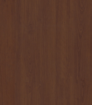 ModernWood Texture