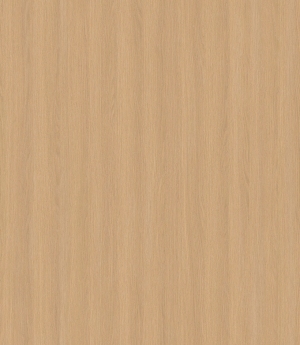 ModernWood Texture