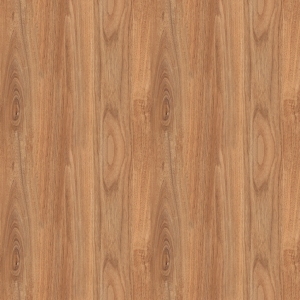 ModernWood Texture