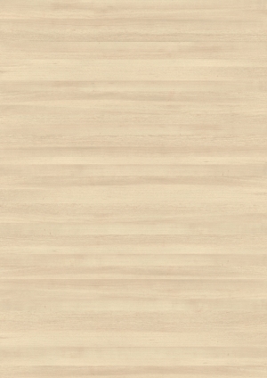 ModernWood Texture