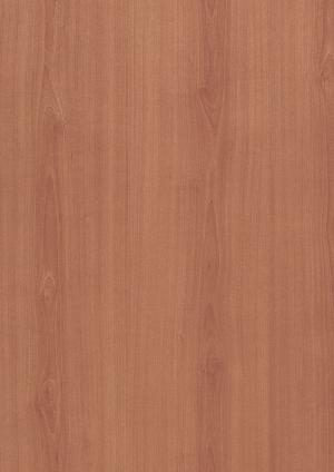 ModernWood Texture
