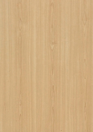 ModernWood Texture