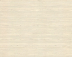 ModernWood Texture