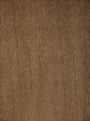 ModernWood Texture