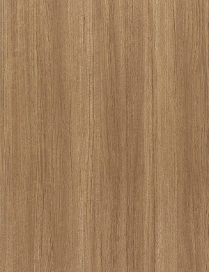 ModernWood Texture
