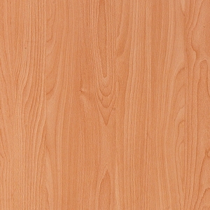 ModernWood Texture