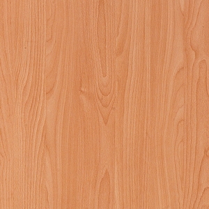 ModernWood Texture
