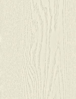 ModernWood Texture
