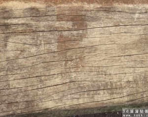 ModernWood Texture