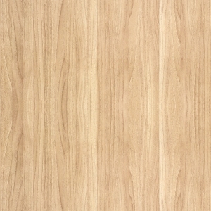 ModernWood Texture