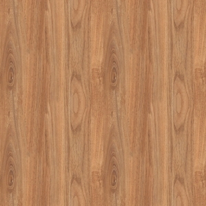 ModernWood Texture