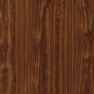 ModernWood Texture
