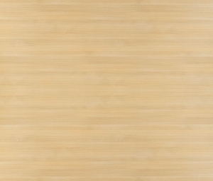 ModernWood Texture