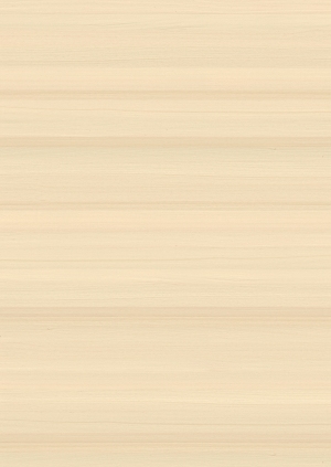 ModernWood Texture