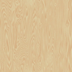 ModernWood Texture