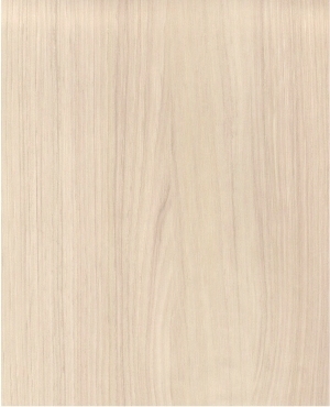 ModernWood Texture