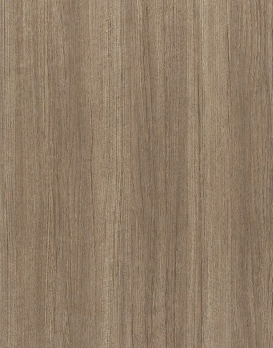 ModernWood Texture