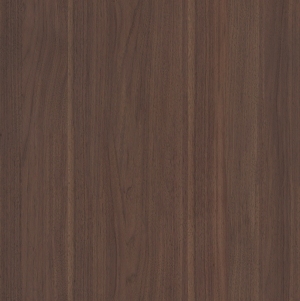 ModernWood Texture