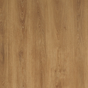 ModernWood Texture