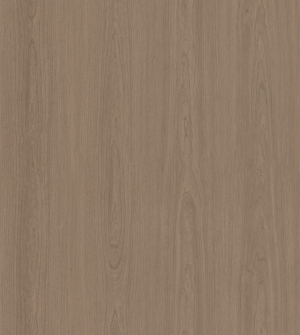 ModernWood Texture