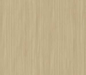 ModernWood Texture