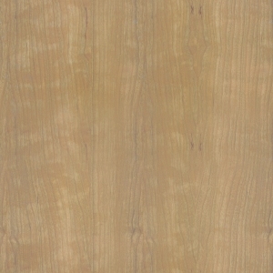 ModernWood Texture